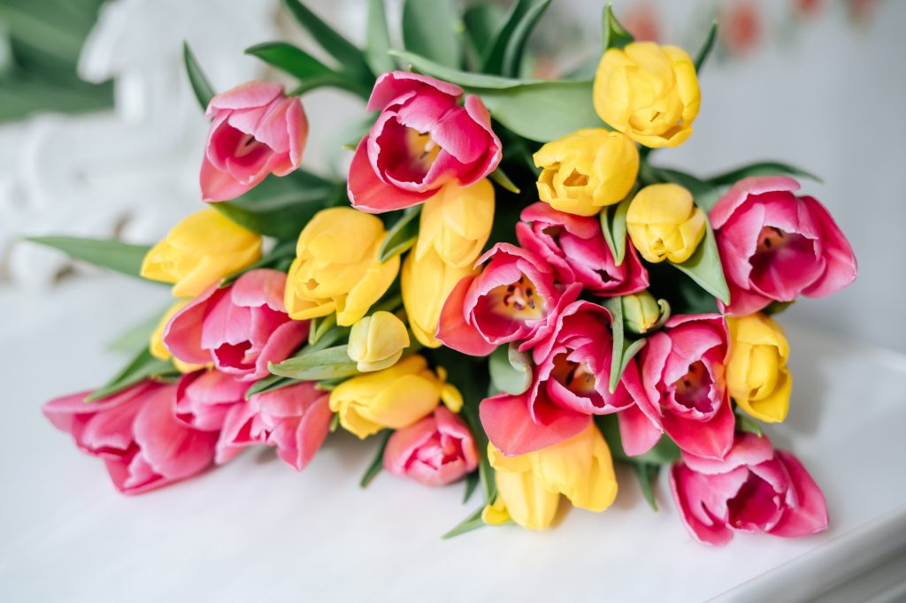 Close up Fresh pink and yellow spring tulips bouquet on table in living room . Flowers delivery.
